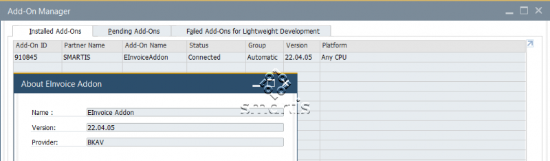 Einvoice Add on SAP Business One