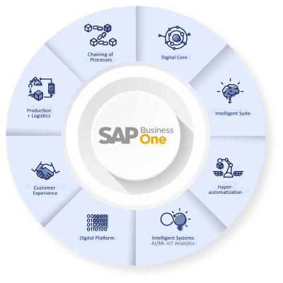 Intelligent Erp Sap Business One En