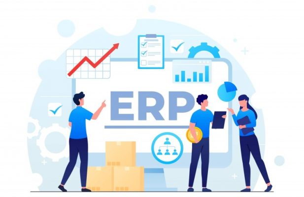 General Erp Statistics